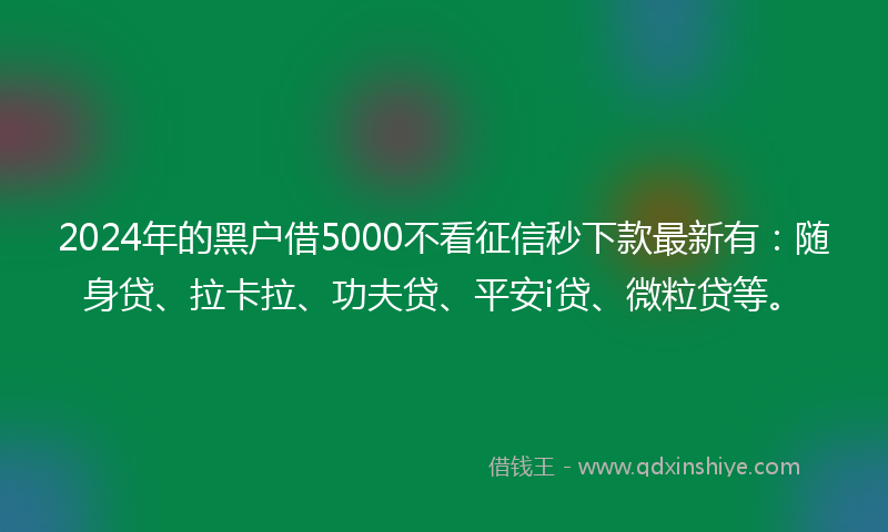2024年的黑户借5000不看征信秒下款最新有：随身贷、拉卡拉、功夫贷、平安i贷、微粒贷等。