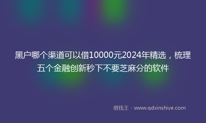 黑户哪个渠道可以借10000元2024年精选，梳理五个金融创新秒下不要芝麻分的软件