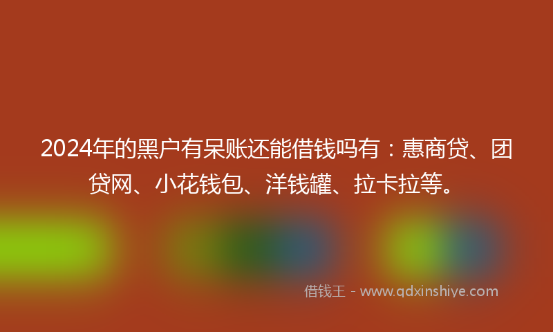 2024年的黑户有呆账还能借钱吗有：惠商贷、团贷网、小花钱包、洋钱罐、拉卡拉等。