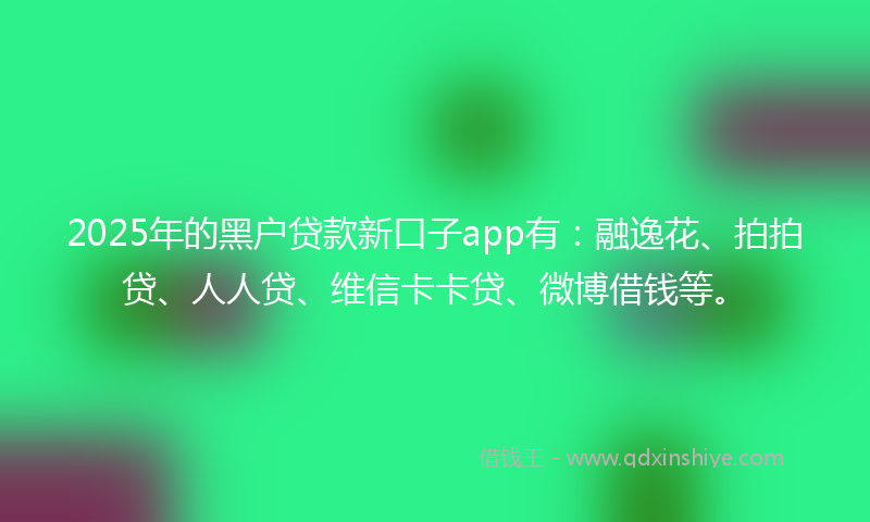 2025年的黑户贷款新口子app有：融逸花、拍拍贷、人人贷、维信卡卡贷、微博借钱等。