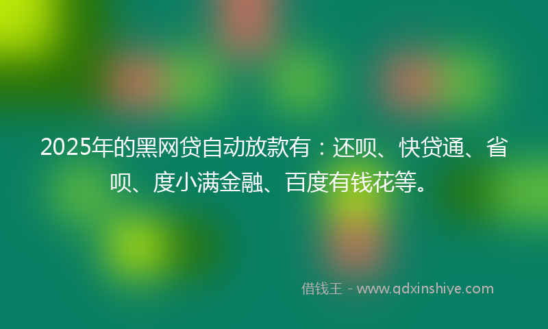 2025年的黑网贷自动放款有：还呗、快贷通、省呗、度小满金融、百度有钱花等。