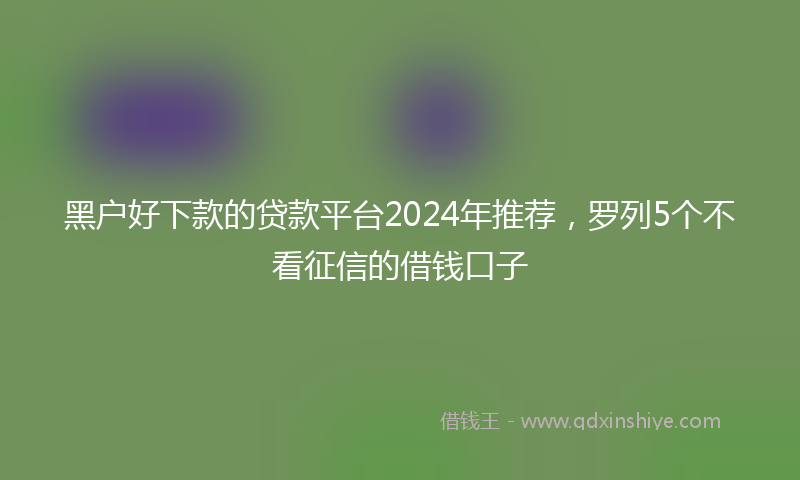 黑户好下款的贷款平台2024年推荐，罗列5个不看征信的借钱口子