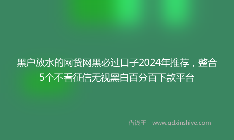 黑户放水的网贷网黑必过口子2024年推荐，整合5个不看征信无视黑白百分百下款平台