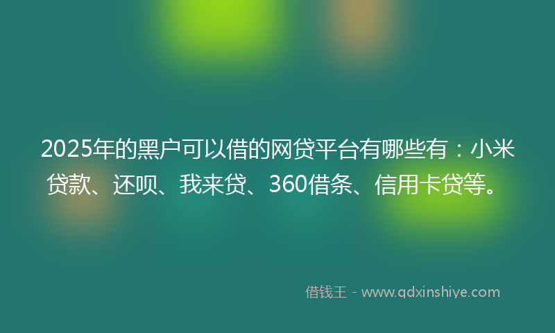 2025年的黑户可以借的网贷平台有哪些有：小米贷款、还呗、我来贷、360借条、信用卡贷等。