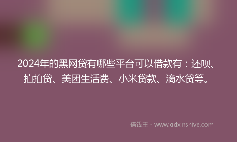 2024年的黑网贷有哪些平台可以借款有：还呗、拍拍贷、美团生活费、小米贷款、滴水贷等。