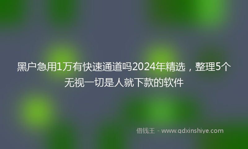 黑户急用1万有快速通道吗2024年精选，整理5个无视一切是人就下款的软件