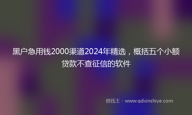 黑户急用钱2000渠道2024年精选,概括五个小额贷款不查征信的软件