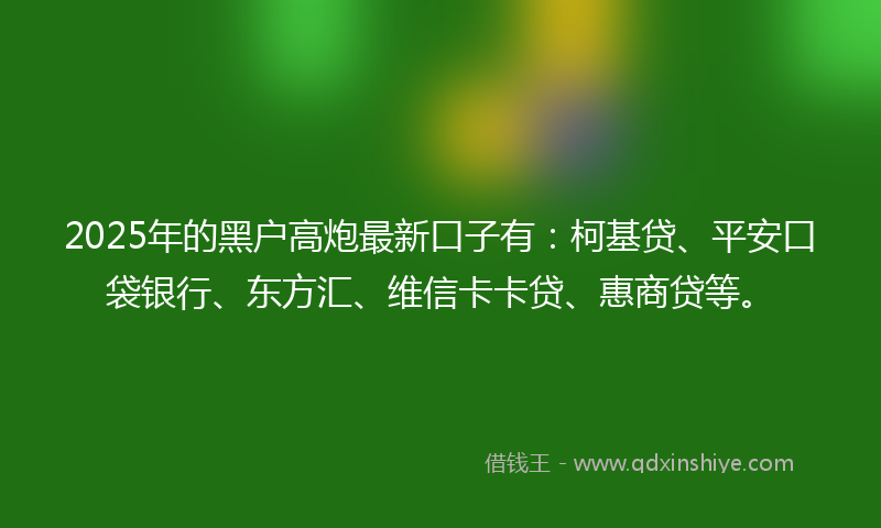 2025年的黑户高炮最新口子有：柯基贷、平安口袋银行、东方汇、维信卡卡贷、惠商贷等。