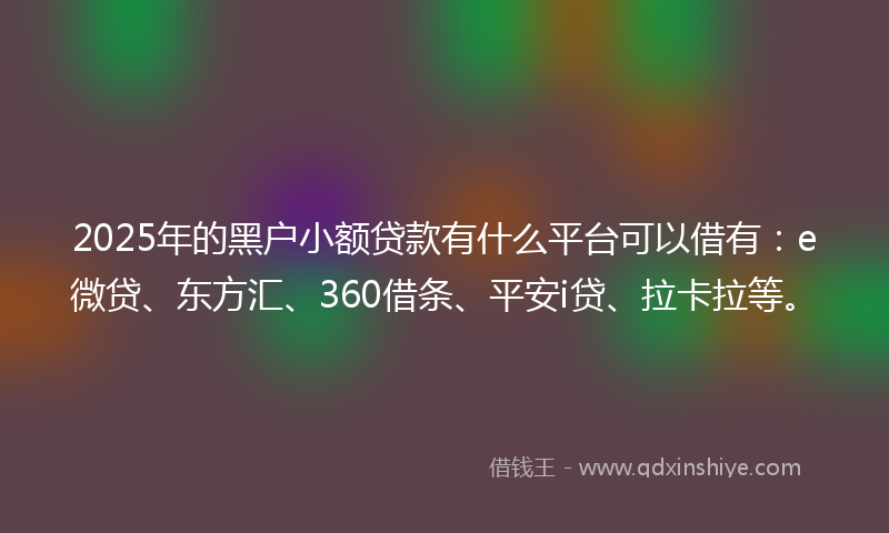 2025年的黑户小额贷款有什么平台可以借有：e微贷、东方汇、360借条、平安i贷、拉卡拉等。