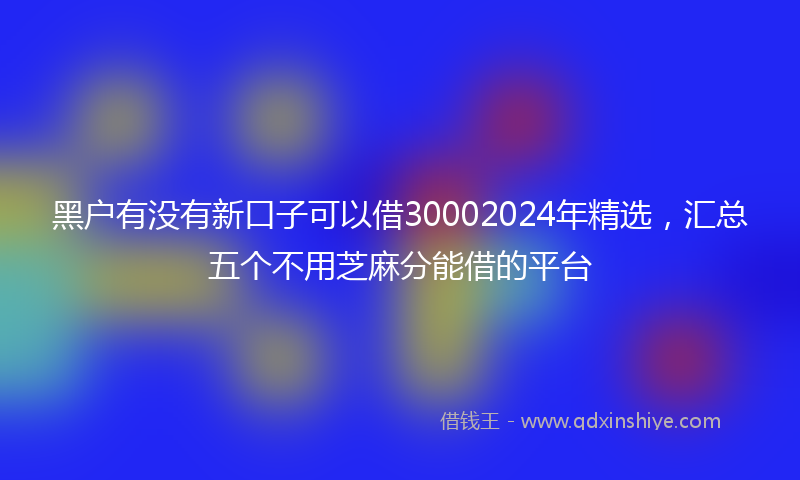 黑户有没有新口子可以借30002024年精选，汇总五个不用芝麻分能借的平台