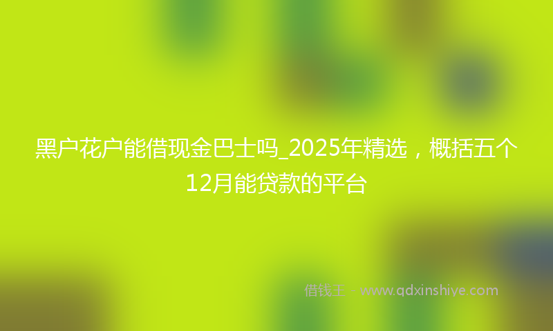 黑户花户能借现金巴士吗_2025年精选，概括五个12月能贷款的平台