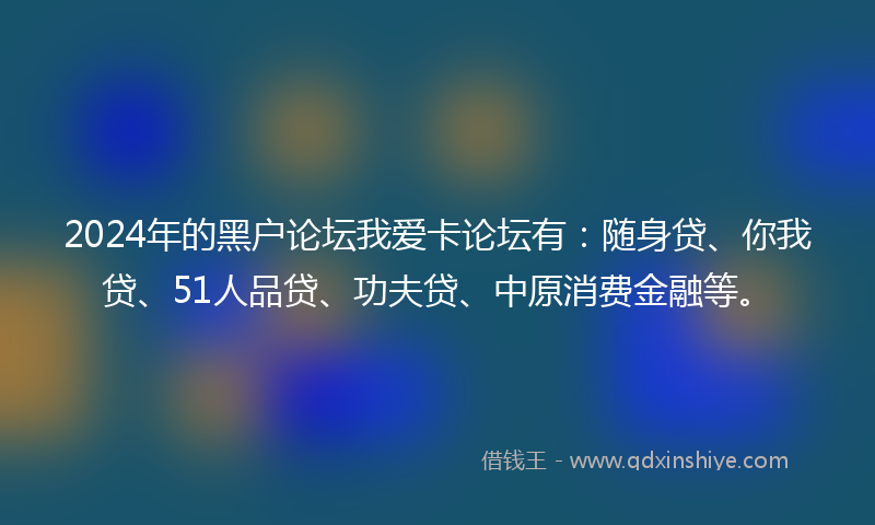 2024年的黑户论坛我爱卡论坛有：随身贷、你我贷、51人品贷、功夫贷、中原消费金融等。