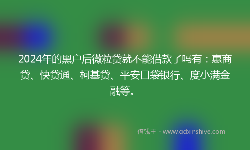 2024年的黑户后微粒贷就不能借款了吗有：惠商贷、快贷通、柯基贷、平安口袋银行、度小满金融等。