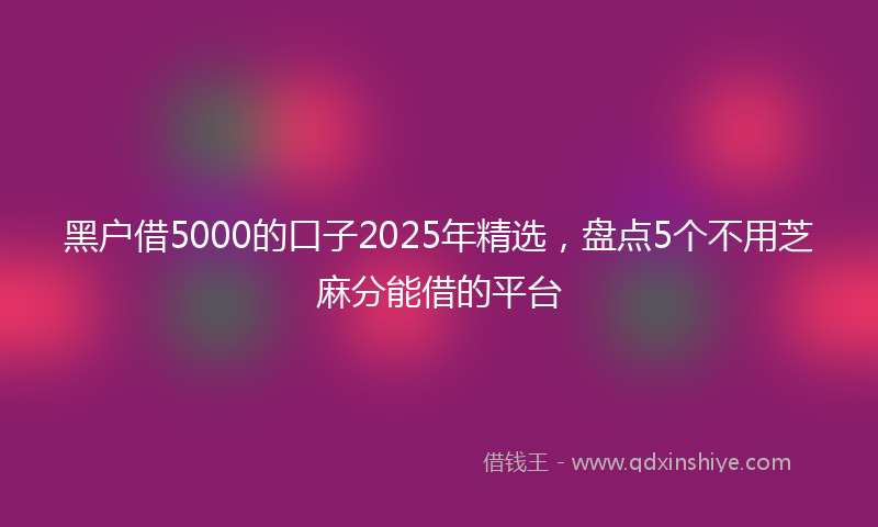 黑户借5000的口子2025年精选，盘点5个不用芝麻分能借的平台