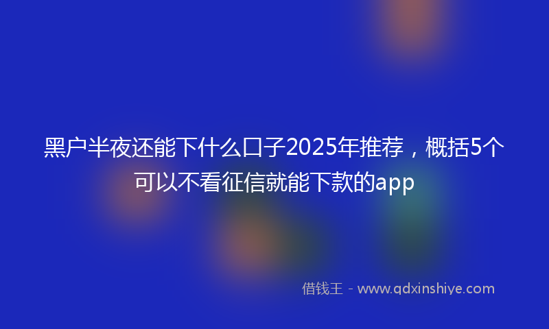 黑户半夜还能下什么口子2025年推荐，概括5个可以不看征信就能下款的app