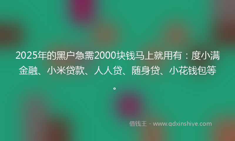 2025年的黑户急需2000块钱马上就用有：度小满金融、小米贷款、人人贷、随身贷、小花钱包等。