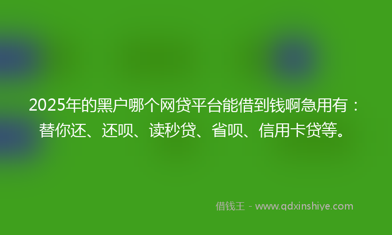 2025年的黑户哪个网贷平台能借到钱啊急用有：替你还、还呗、读秒贷、省呗、信用卡贷等。