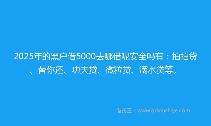 2025年的黑户借5000去哪借呢安全吗有：拍拍贷、替你还、功夫贷、微粒贷、滴水贷等。