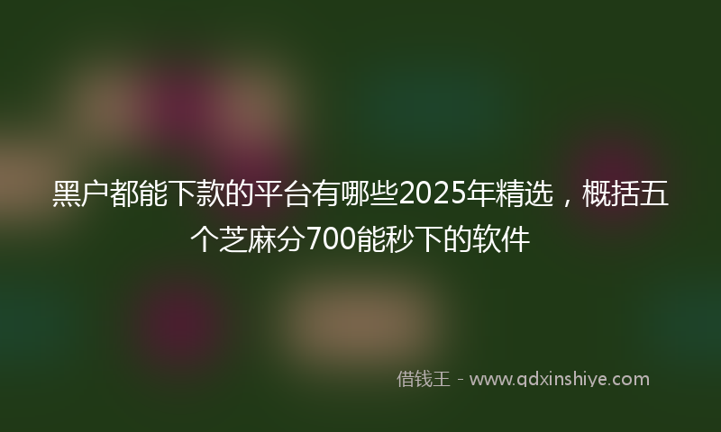 黑户都能下款的平台有哪些2025年精选，概括五个芝麻分700能秒下的软件