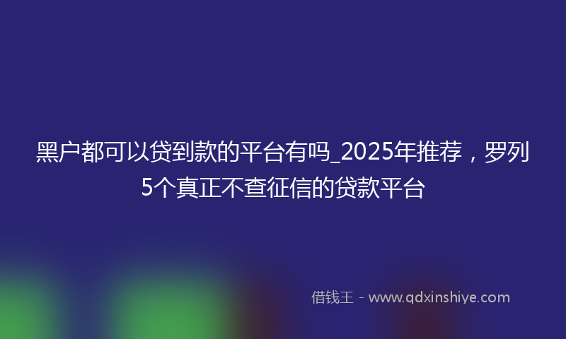 黑户都可以贷到款的平台有吗_2025年推荐，罗列5个真正不查征信的贷款平台