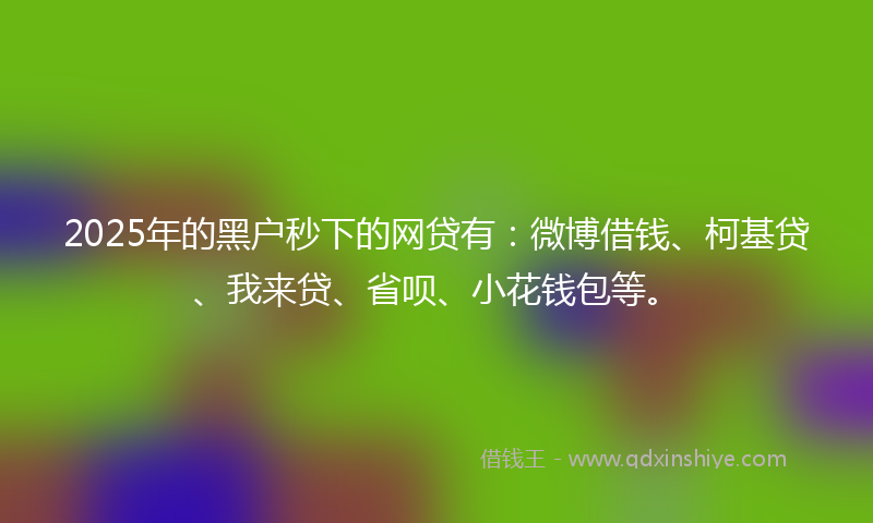 2025年的黑户秒下的网贷有：微博借钱、柯基贷、我来贷、省呗、小花钱包等。