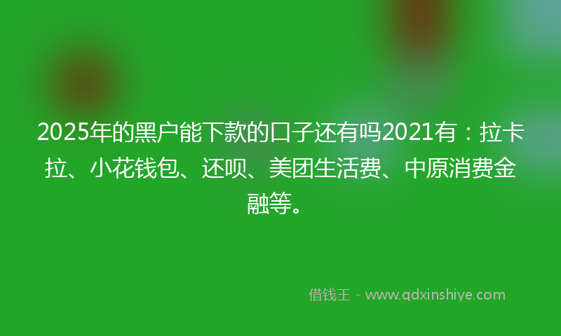 2025年的黑户能下款的口子还有吗2021有：拉卡拉、小花钱包、还呗、美团生活费、中原消费金融等。