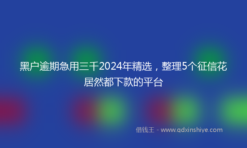 黑户逾期急用三千2024年精选，整理5个征信花居然都下款的平台