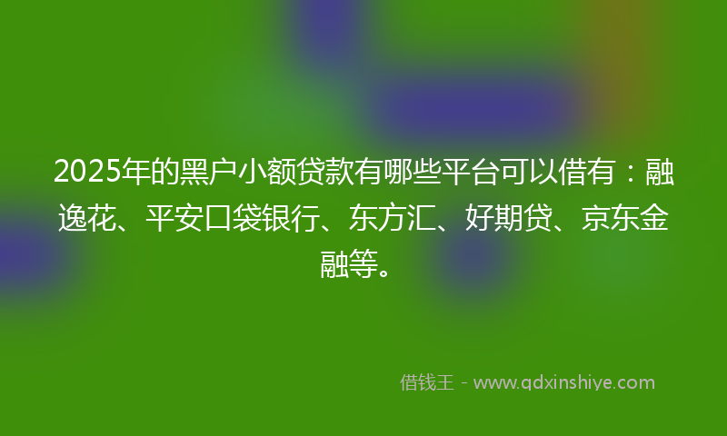 2025年的黑户小额贷款有哪些平台可以借有：融逸花、平安口袋银行、东方汇、好期贷、京东金融等。