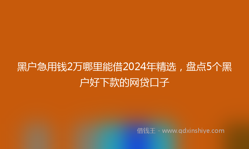 黑户急用钱2万哪里能借2024年精选，盘点5个黑户好下款的网贷口子