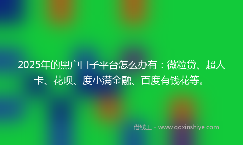 2025年的黑户口子平台怎么办有：微粒贷、超人卡、花呗、度小满金融、百度有钱花等。