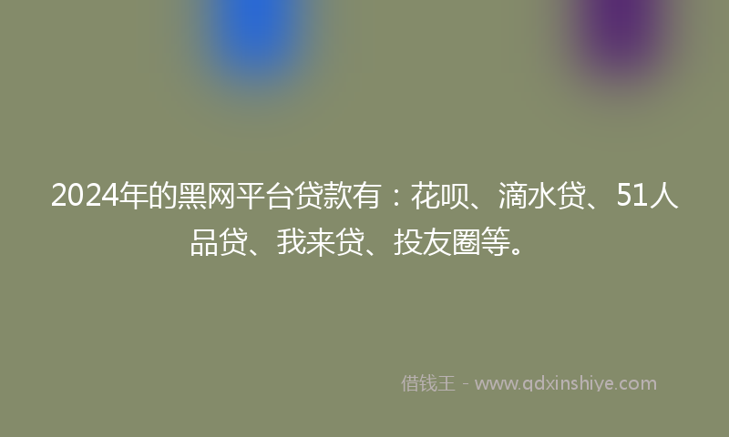 2024年的黑网平台贷款有：花呗、滴水贷、51人品贷、我来贷、投友圈等。