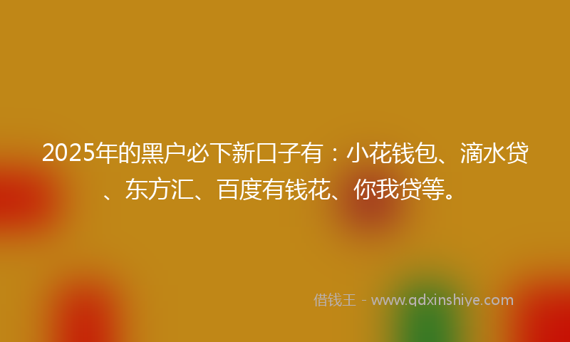 2025年的黑户必下新口子有：小花钱包、滴水贷、东方汇、百度有钱花、你我贷等。