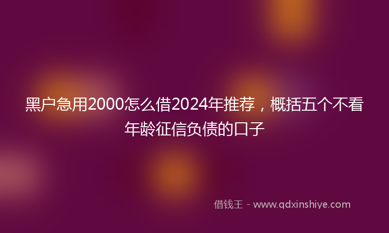 黑户急用2000怎么借2024年推荐，概括五个不看年龄征信负债的口子