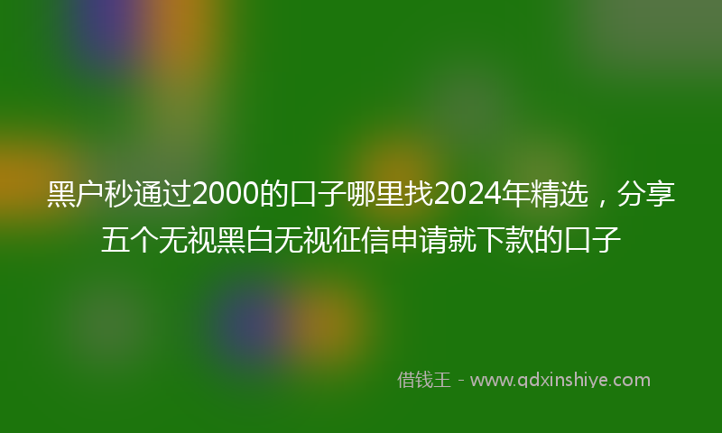 黑户秒通过2000的口子哪里找2024年精选，分享五个无视黑白无视征信申请就下款的口子