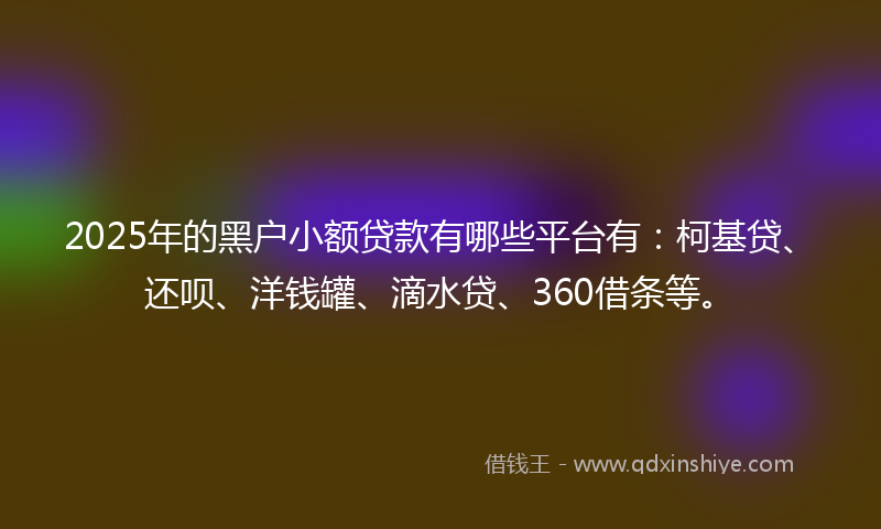 2025年的黑户小额贷款有哪些平台有：柯基贷、还呗、洋钱罐、滴水贷、360借条等。
