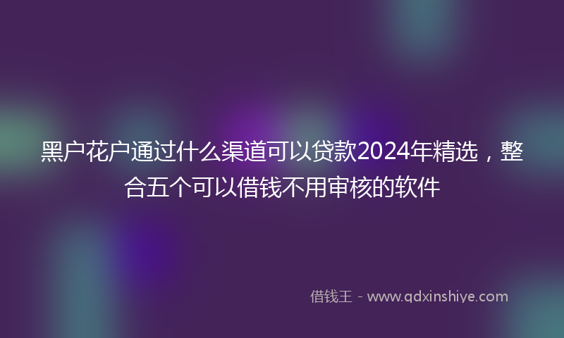 黑户花户通过什么渠道可以贷款2024年精选，整合五个可以借钱不用审核的软件