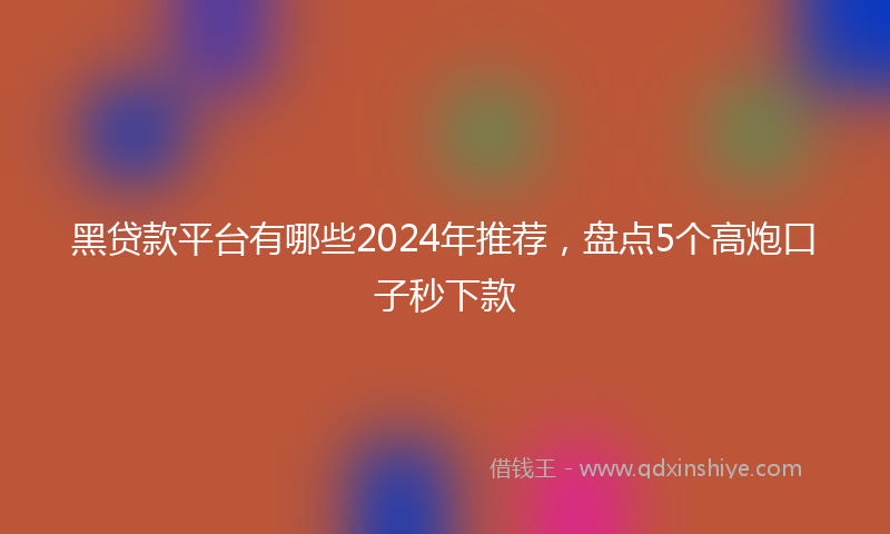 黑贷款平台有哪些2024年推荐，盘点5个高炮口子秒下款