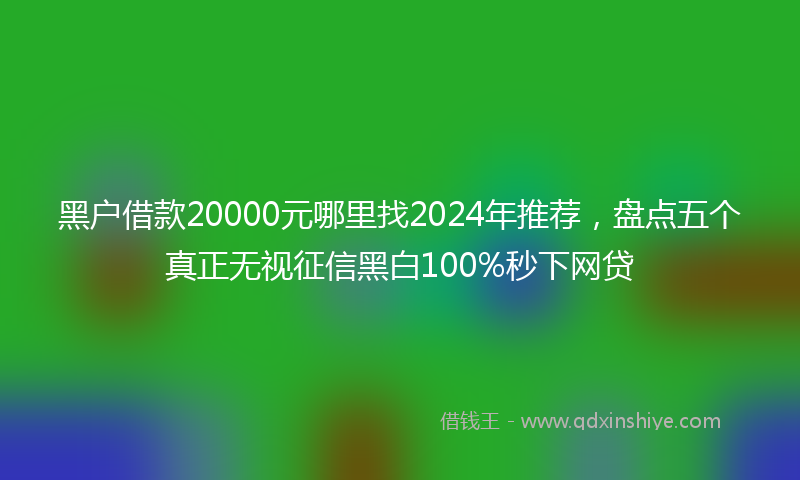 黑户借款20000元哪里找2024年推荐，盘点五个真正无视征信黑白100%秒下网贷