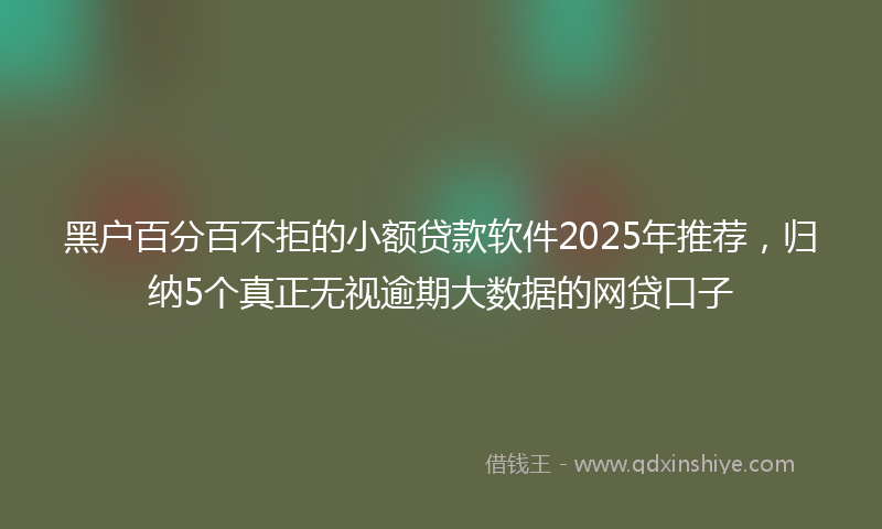 黑户百分百不拒的小额贷款软件2025年推荐，归纳5个真正无视逾期大数据的网贷口子