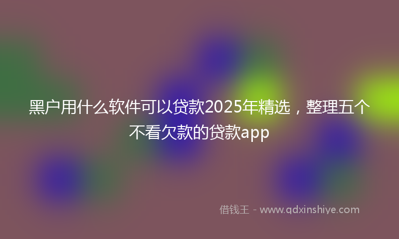 黑户用什么软件可以贷款2025年精选，整理五个不看欠款的贷款app