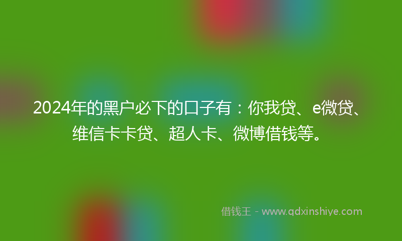 2024年的黑户必下的口子有：你我贷、e微贷、维信卡卡贷、超人卡、微博借钱等。