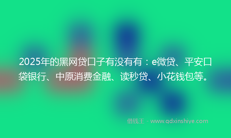 2025年的黑网贷口子有没有有：e微贷、平安口袋银行、中原消费金融、读秒贷、小花钱包等。