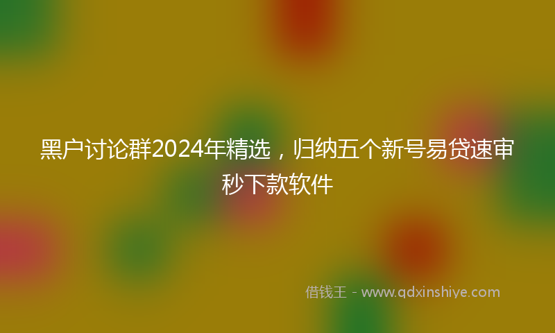 黑户讨论群2024年精选，归纳五个新号易贷速审秒下款软件