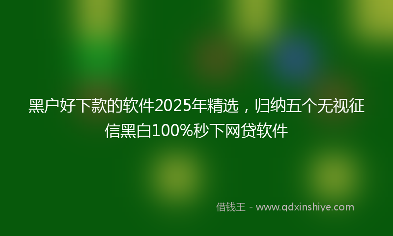 黑户好下款的软件2025年精选，归纳五个无视征信黑白100%秒下网贷软件