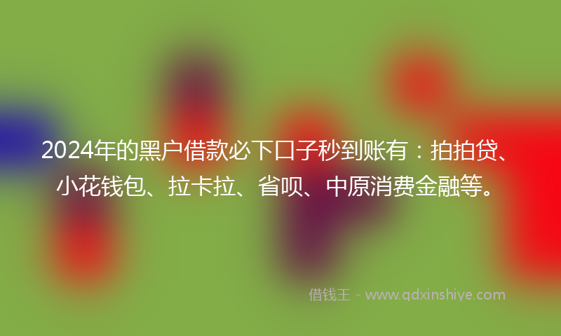 2024年的黑户借款必下口子秒到账有：拍拍贷、小花钱包、拉卡拉、省呗、中原消费金融等。
