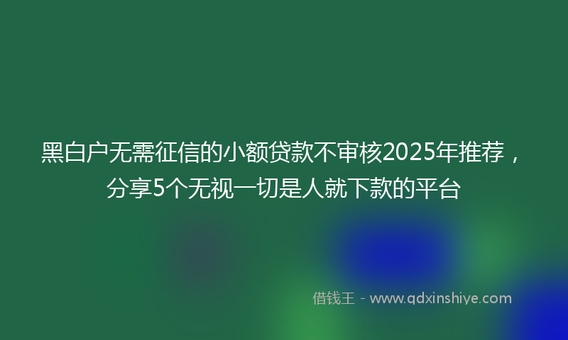 黑白户无需征信的小额贷款不审核2025年推荐，分享5个无视一切是人就下款的平台