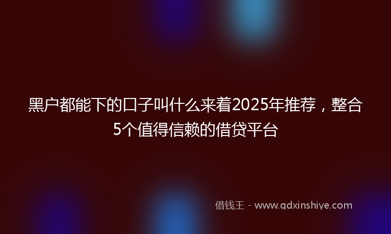 黑户都能下的口子叫什么来着2025年推荐，整合5个值得信赖的借贷平台