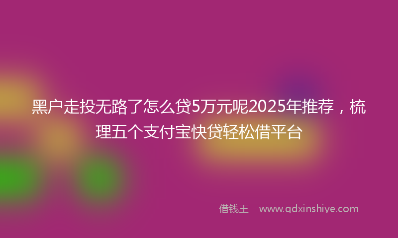 黑户走投无路了怎么贷5万元呢2025年推荐，梳理五个支付宝快贷轻松借平台