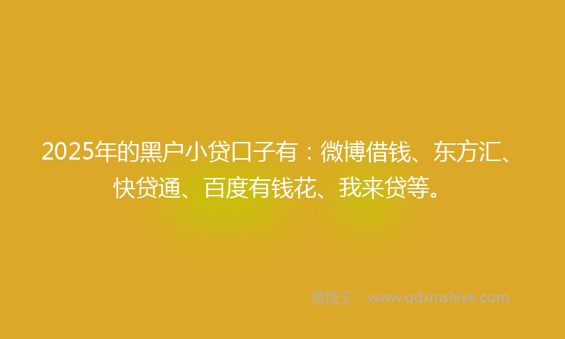 2025年的黑户小贷口子有：微博借钱、东方汇、快贷通、百度有钱花、我来贷等。
