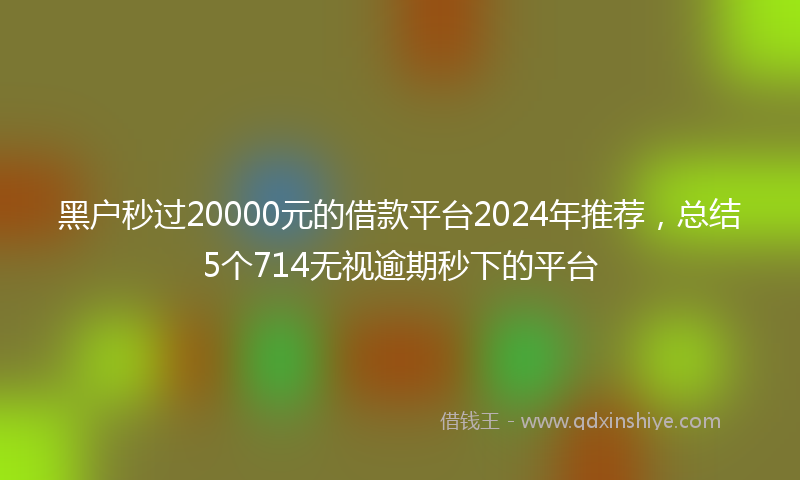 黑户秒过20000元的借款平台2024年推荐，总结5个714无视逾期秒下的平台